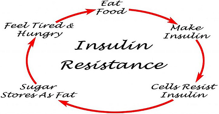 Exploring the links between insulin resistance and weight gain