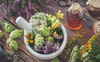 New Stars in Ingredients Seek  Consumer Familiarity and Acceptance