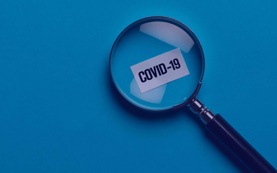 COVID-19: Contributing factors to the outbreak – update 6