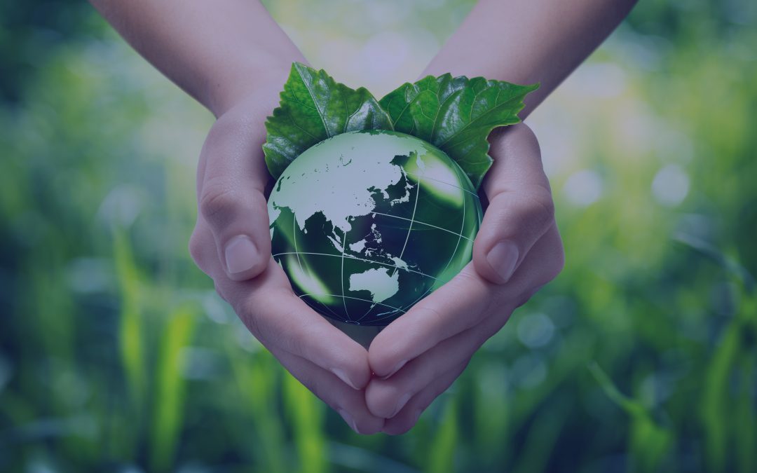 Sustainability: consumers and companies bring different perspectives