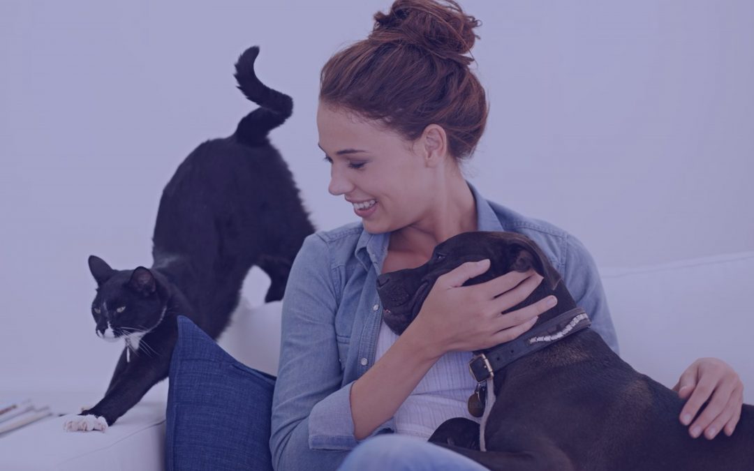Pet food trends reflect parental care