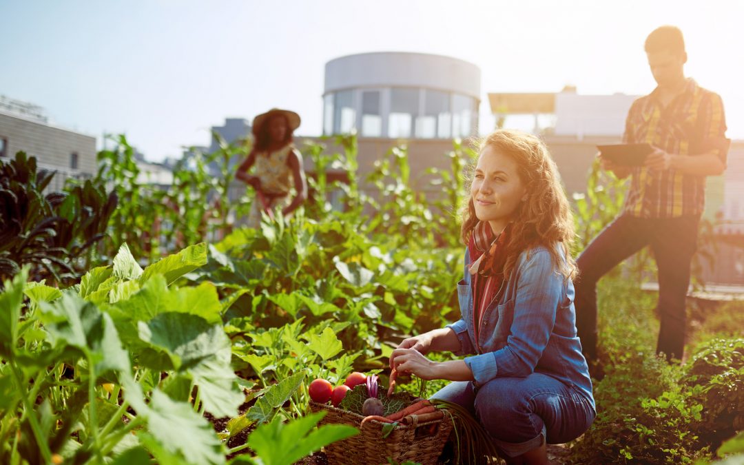 Plant-based foods lead ethical purchase decisions