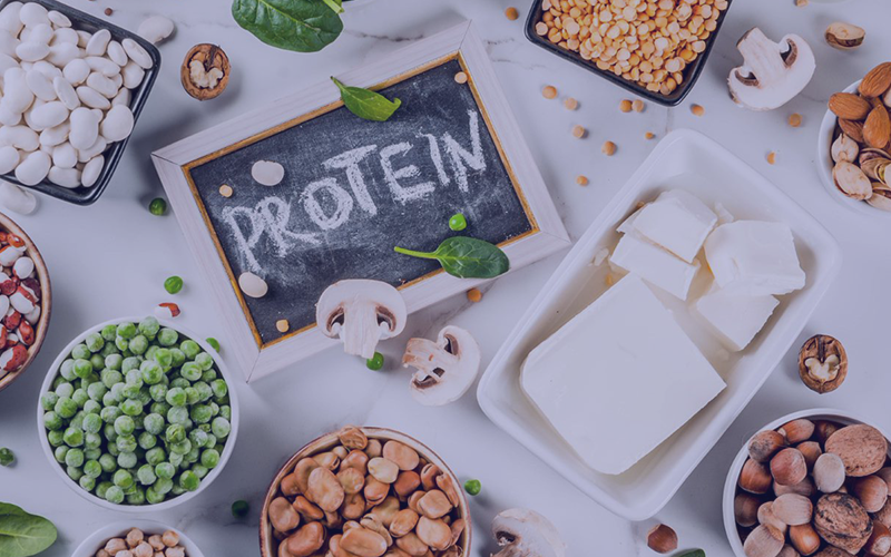 Plant protein – quantity and quality matter