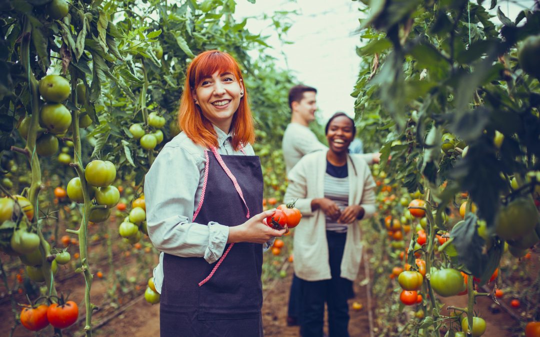 Innova Identifies Top 10 Food and Beverage Trends to Accelerate Innovation in 2021